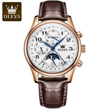OLEVS 6667 Luminous Waterproof Automatic Men's Watch Multifunctional Fashion Mechanical Watch