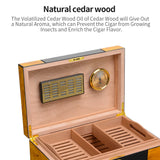 Cigar Humidor Box Cedar Wood Cigar Humidor Piano Paint Display Box Humidor With Lock Key Cigar Humidifier Hygrometer with Logo