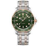 PAGANI DESIGN Men's Watches Luxury Automatic Watch For Men 2025 New 100M Waterproof Mechanical Wristwatch Men Sapphire crystal